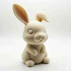 ADORABLE BUNNY