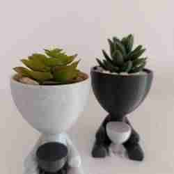 Flowerpot family - Father-Mother-Children - Robert Plant - Home Decoration