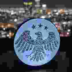 Syrian Eagle Lightbox – Syria National Emblem