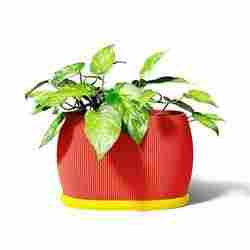 Barrel Planter