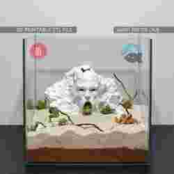 Harry Pottery theme Cave - Aquarium and Terrarium Decor, Fish Hide, Reptile Shelter, Spider Nest, Salazar Critter House