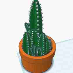 Fairy castle cactus