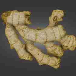 Ginger Root — Laser-Scanned 3D Model (500k & 1.5M OBJ/STL) — Organic Culinary Form - By ScanPantry