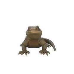 Chilean lizard