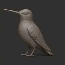 Hummingbird