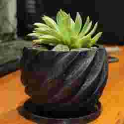 Spiral Flowerpot (small)