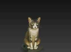 Cat File (Realistic Cat)