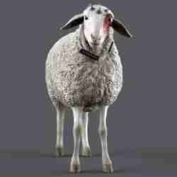 T Ocellus Alien Sheep