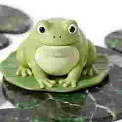 Happy Cartoon Frog on a Lily Pad