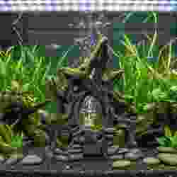 Rock Sculpture — Aquarium Series — #4