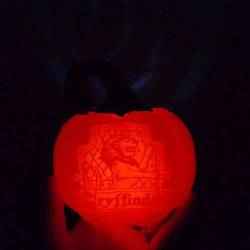 Harry Potter Gryffindor Hogwarts Houses Lithophane Projector Pumpkin