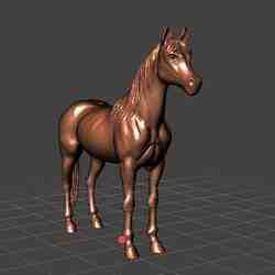 Arabian horse - Caballo Arabe