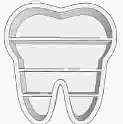 tooth display shelf