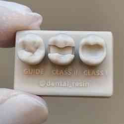 Lower premolar for training