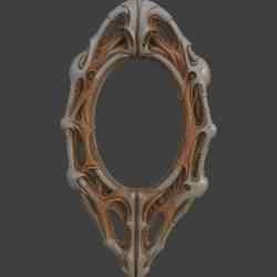 Biomechanical Photo/Mirror Frame