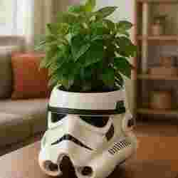 Stormtrooper Helmet Helmet Pot - Star Wars