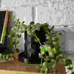 Polygonal planter (small)(v1)