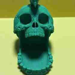 Halloween skull candy bowl