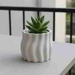 Decorative Mini Pot for Small Plants