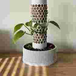 ClimbMate – Modular Moss Pole Planter with Self-Watering System