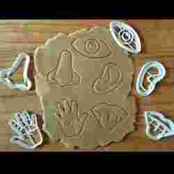 x5 Senses - Cookie cutter, dough - sight, hearing, smell, taste, touch