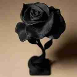 Elegant Black Rose STL
