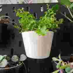 Plant pot holder - IKEA Skadis