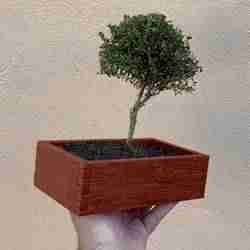 box wood medium large / flower pot dovetail joint for 3d printing wood texture