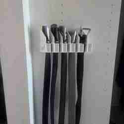 Belt organicer