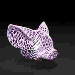 Pig head Voronoi
