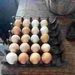 Stackable Egg Crate