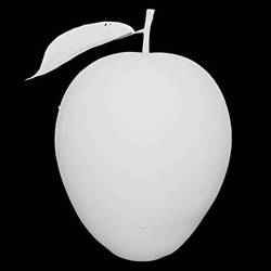 Mango Fruit with Leaf