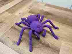 Tarantula Örümceği