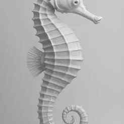 3D Seahorse Render – White & Grey Elegance | Digital Download