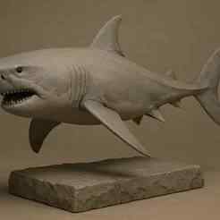 3D Shark Sculpture