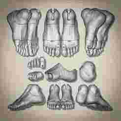 8 parts | BJD Doll 3D Print Files | Detailed Feet STL for Ball Jointed Dolls | DIY Doll Parts