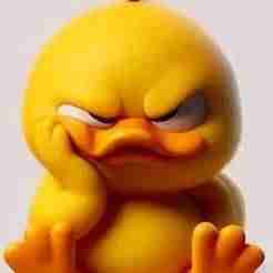 Angry little ducks