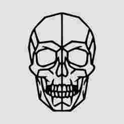 Angry Skull Line Art Wall Art