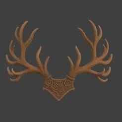 Antlers Horns