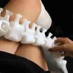 👽Articulated Xenomorph Tail Costume👽