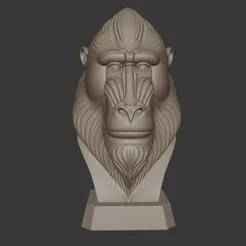 Baboon Head Bust – Highly Detailed 3D Print Model