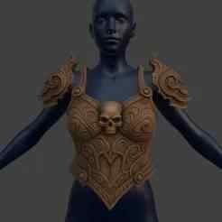 Barbarian Chestplate and Pauldrons