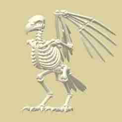 Bird Skeleton 3D Model | Fantasy Creature STL | Halloween Decor