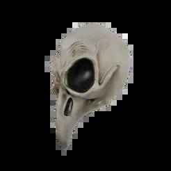 bird skull Bird Skull Keychain Keychain Key Chain
