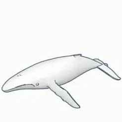 Blue whale keychain.