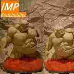 bodybuldier  IMP