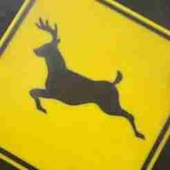 Buck Crossing Sign – Fridge Magnet or Scalable Wall/Outdoor Sign
