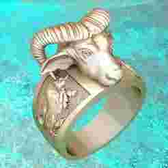 Buffalo rings  - Gaur ring - Cow ring - N812813