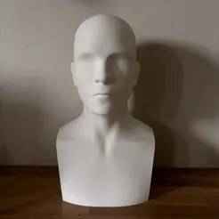 Bust Head Support