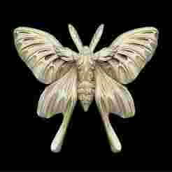 butterfly brooches design royal luxury vintage baroque gothic